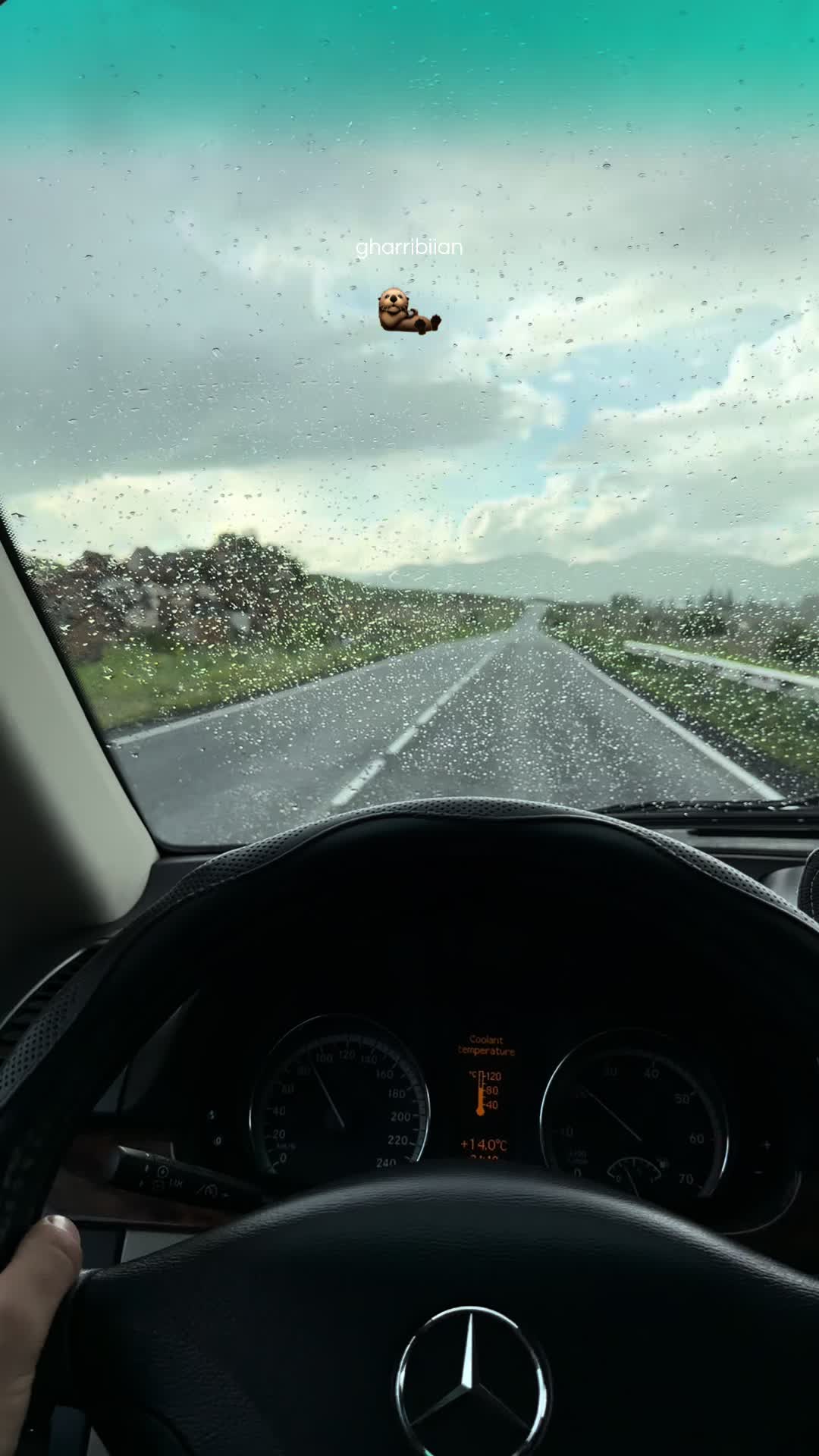 @_gharribiian_
