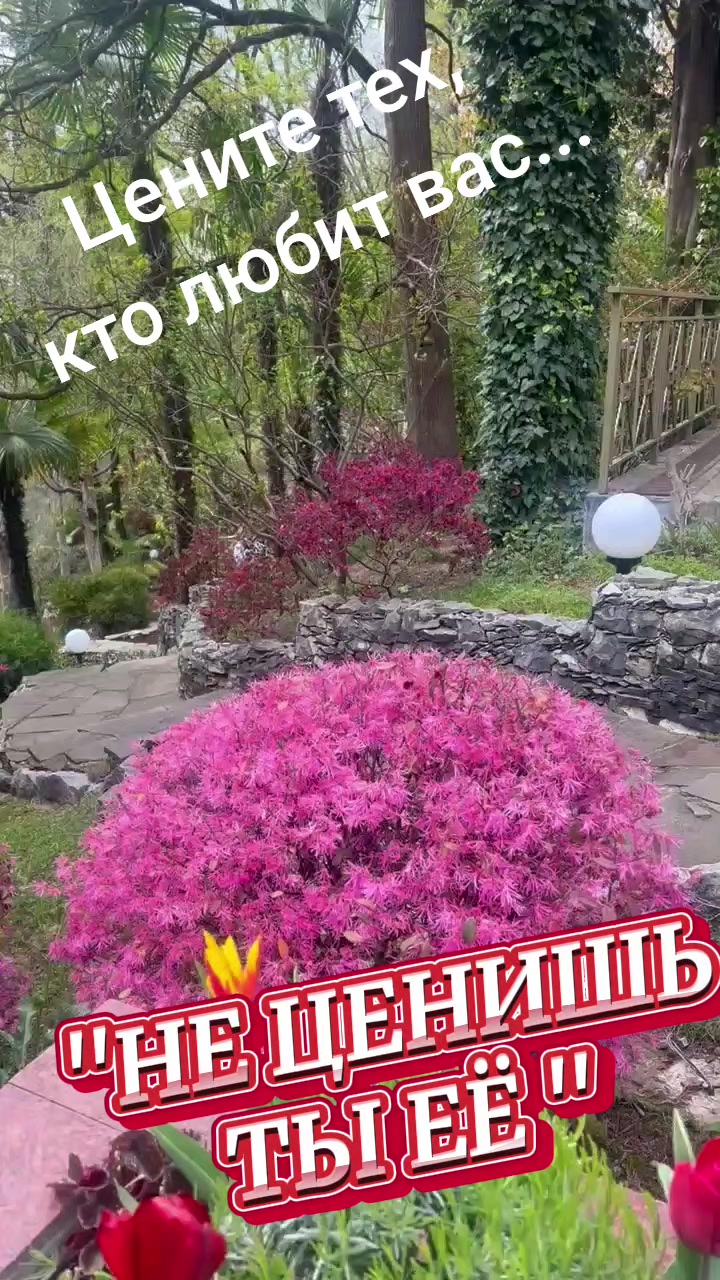 @Татьяна П