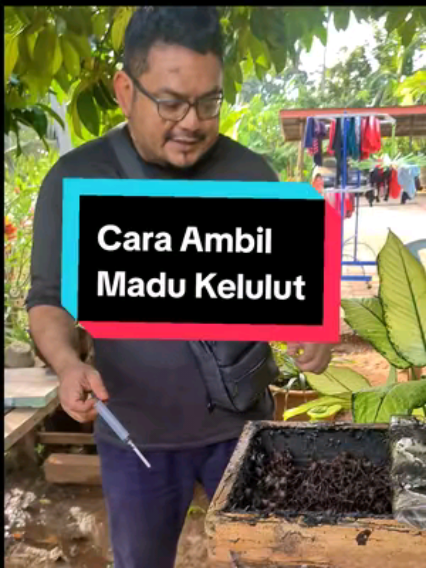 @Abam Teh
