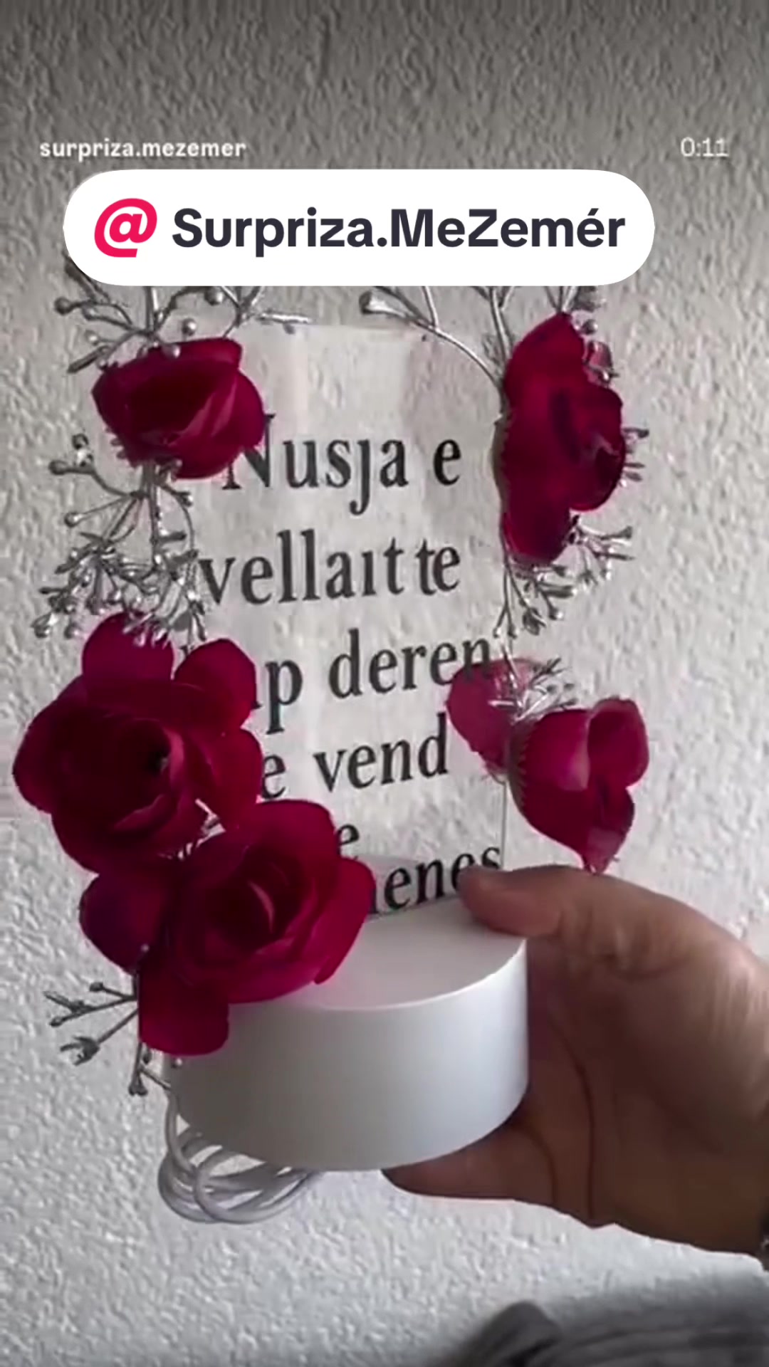 @Surpriza.MeZemer