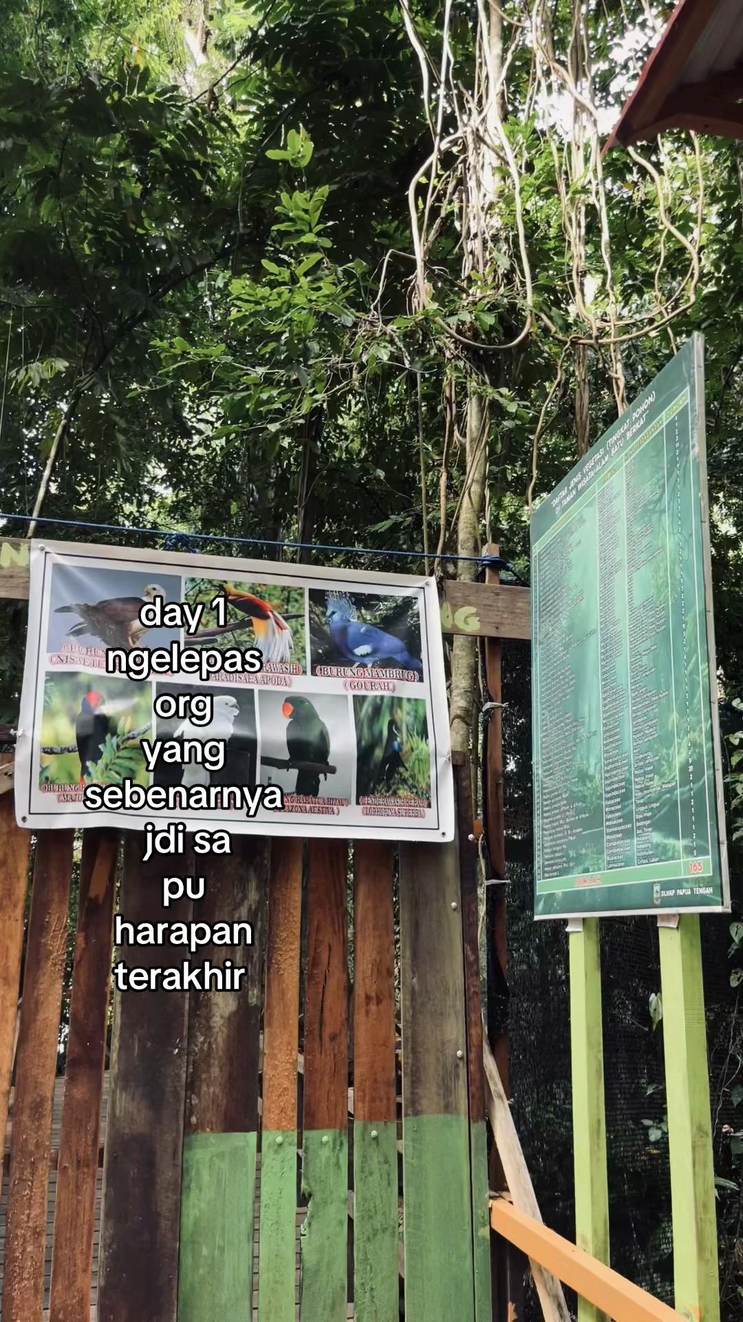 @faldy
