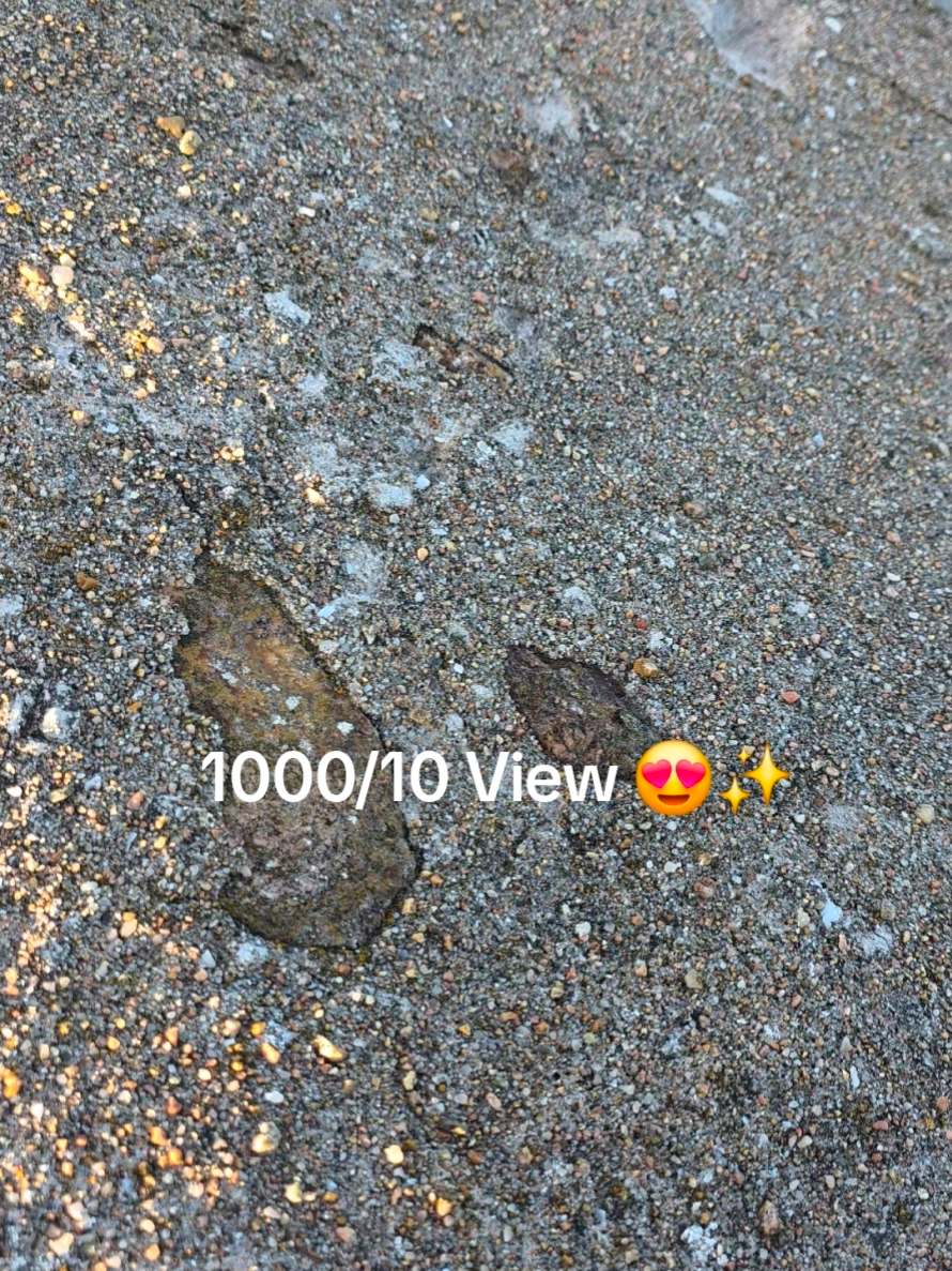@Dodgertravels