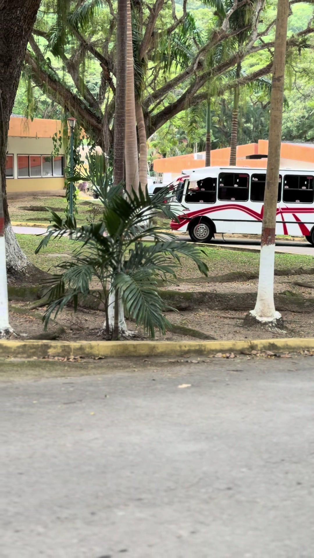 @Escuderia_Team.BR