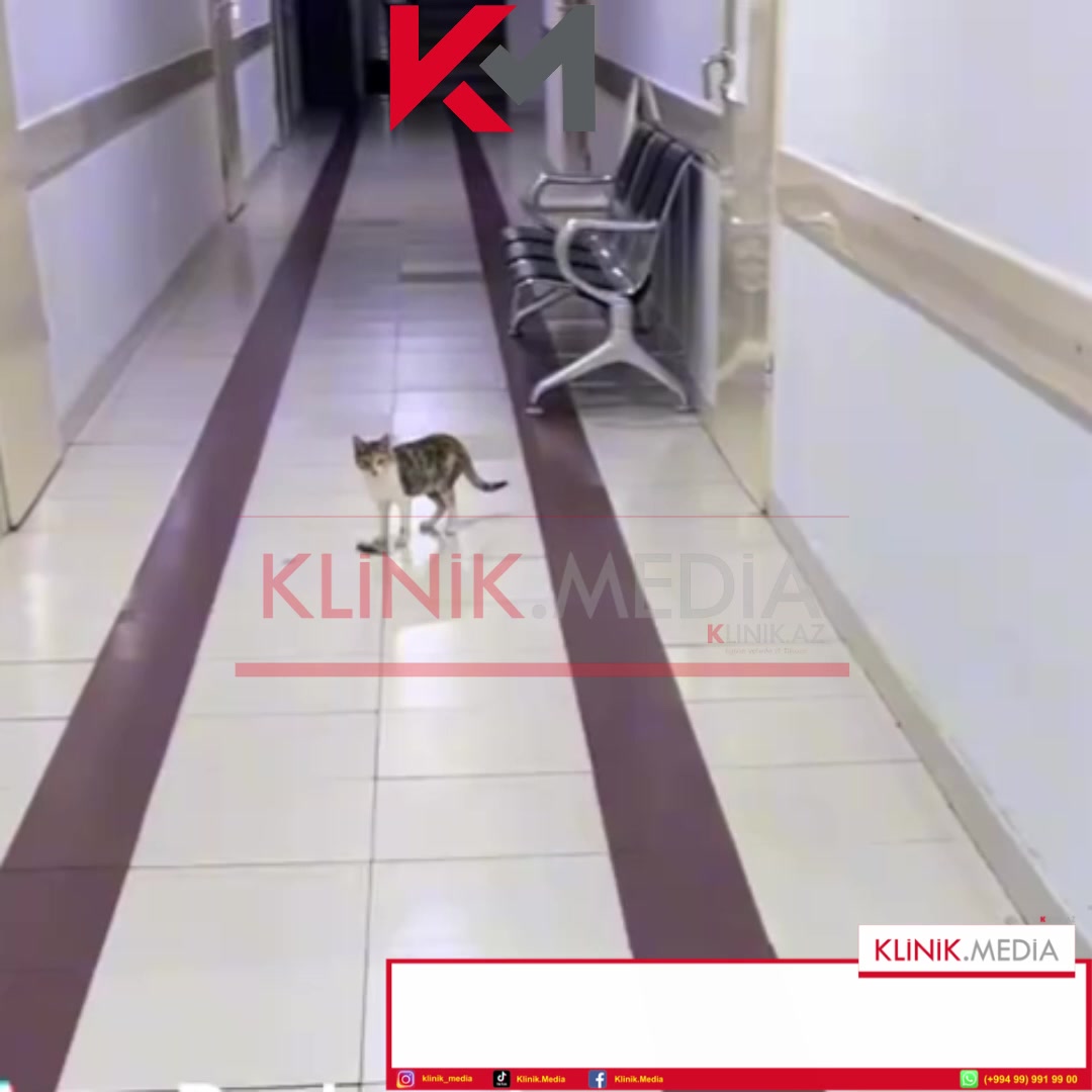@klinik.media
