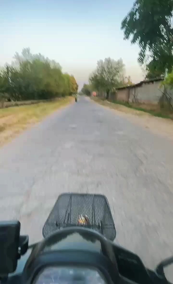@Safari__yovoni