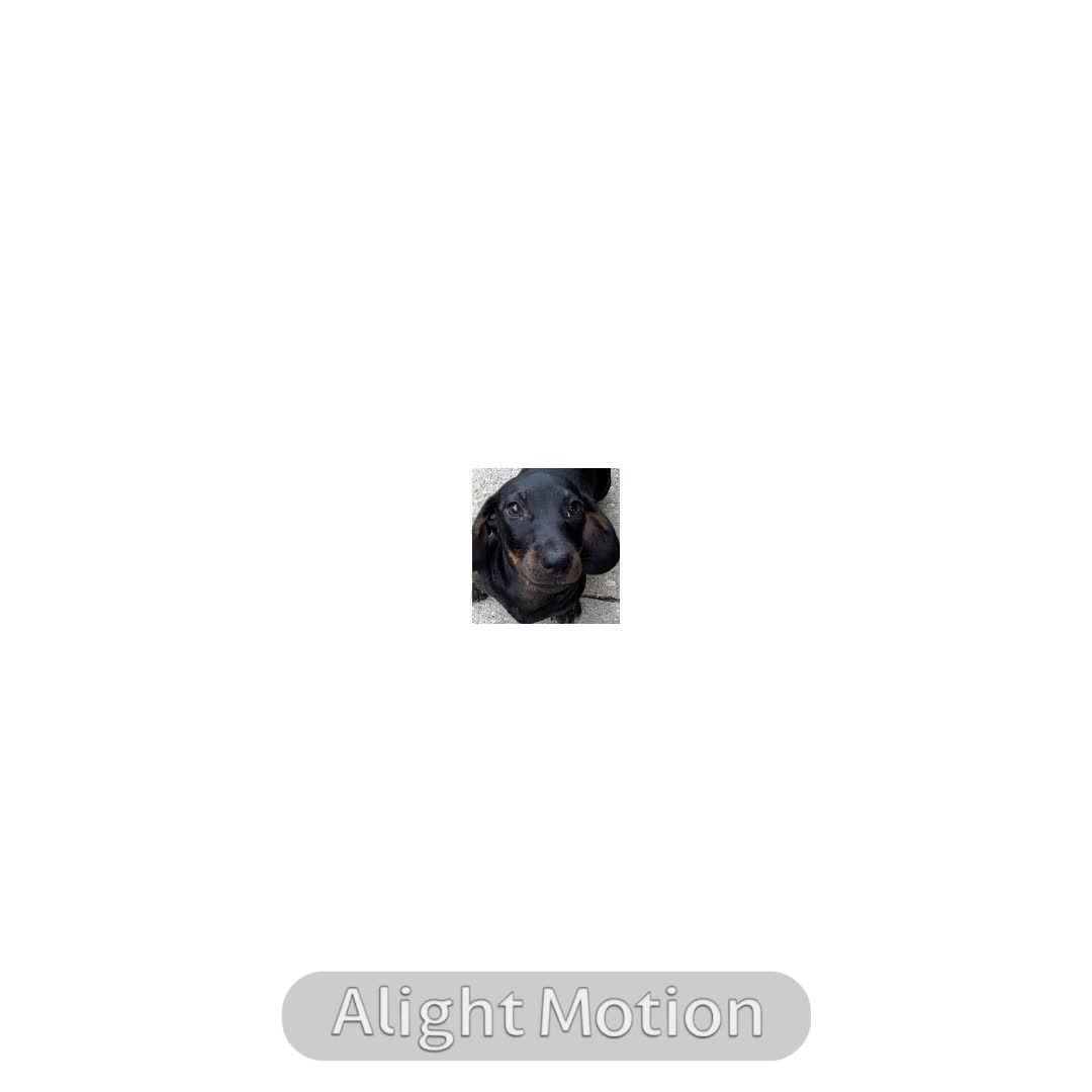 @ﾘuﾶﾉ ﾶﾉuﾘ ᥫ᭡
