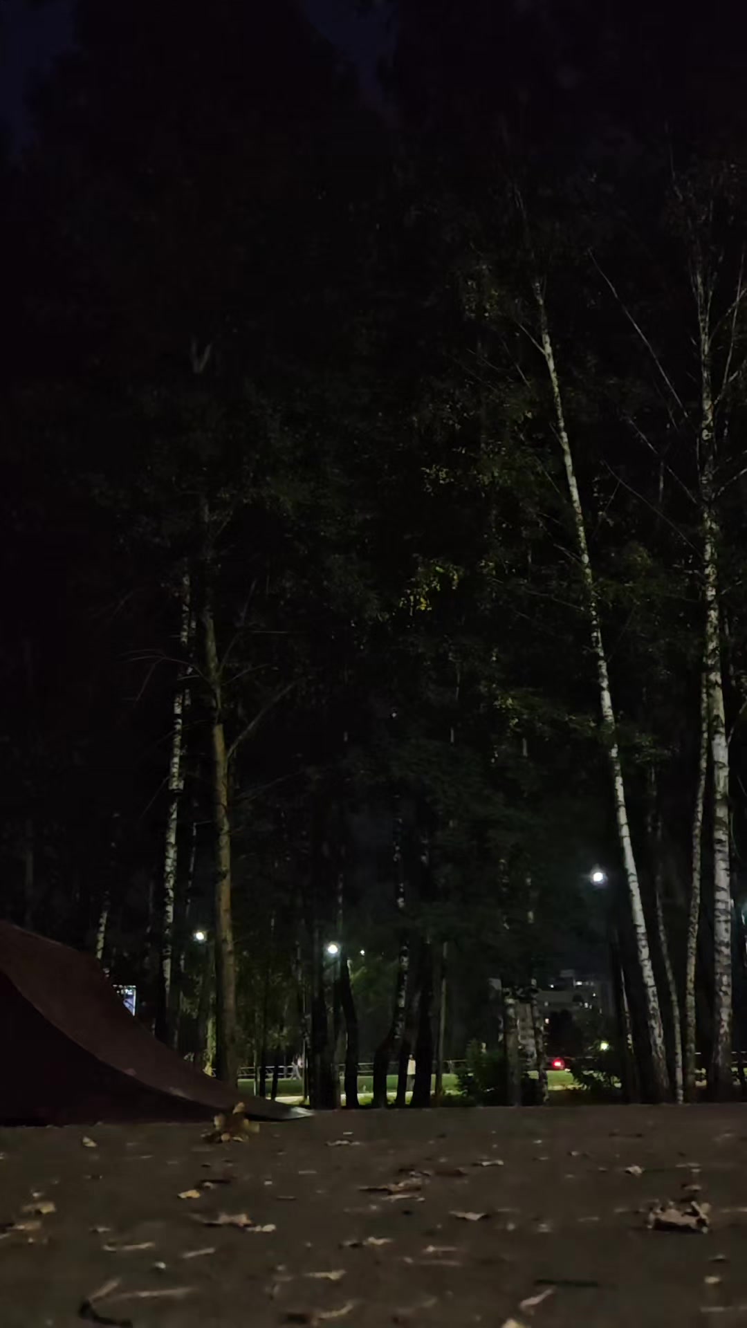 @ARTIXS🇧🇾