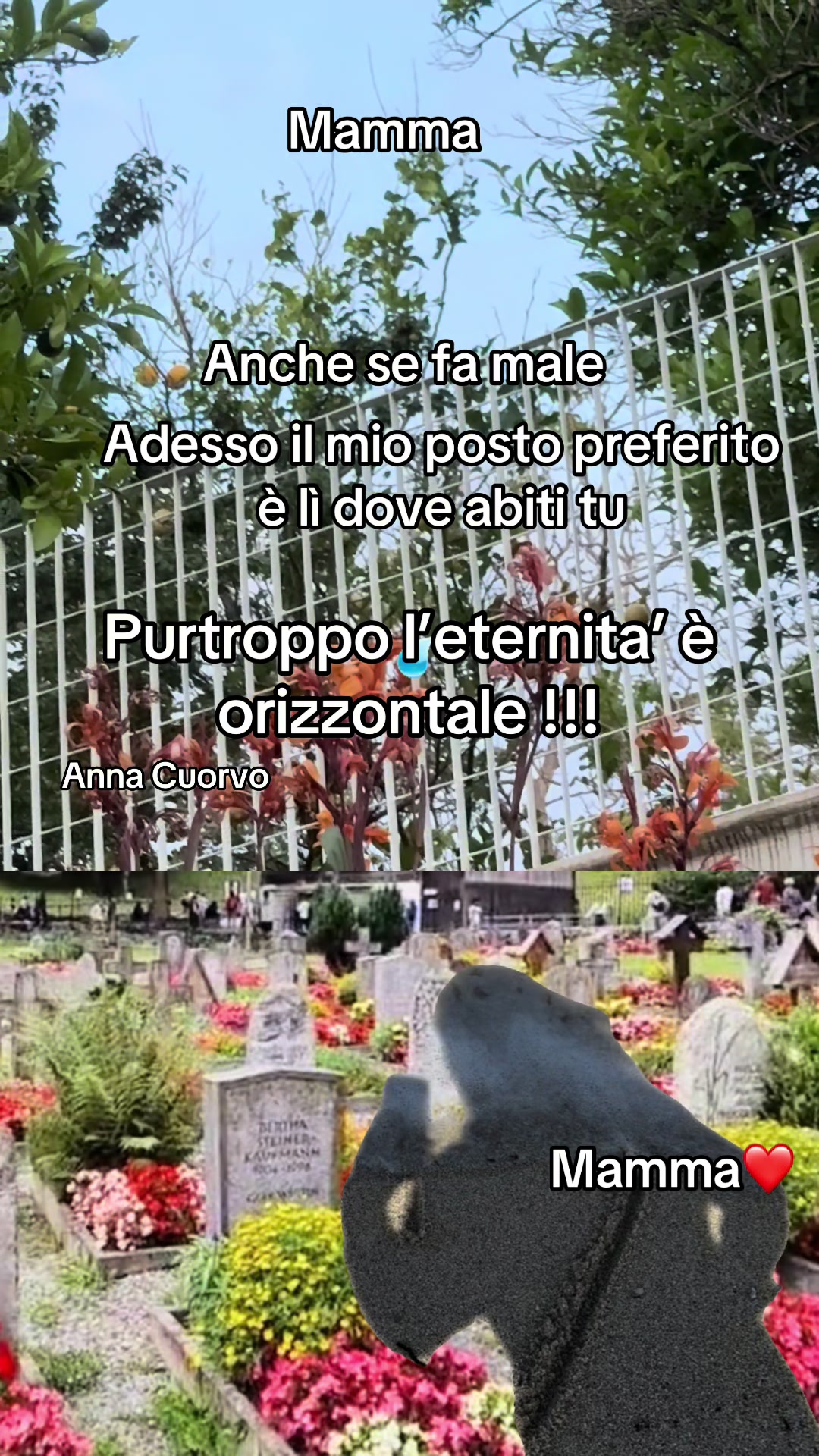 @annacuorvo877
