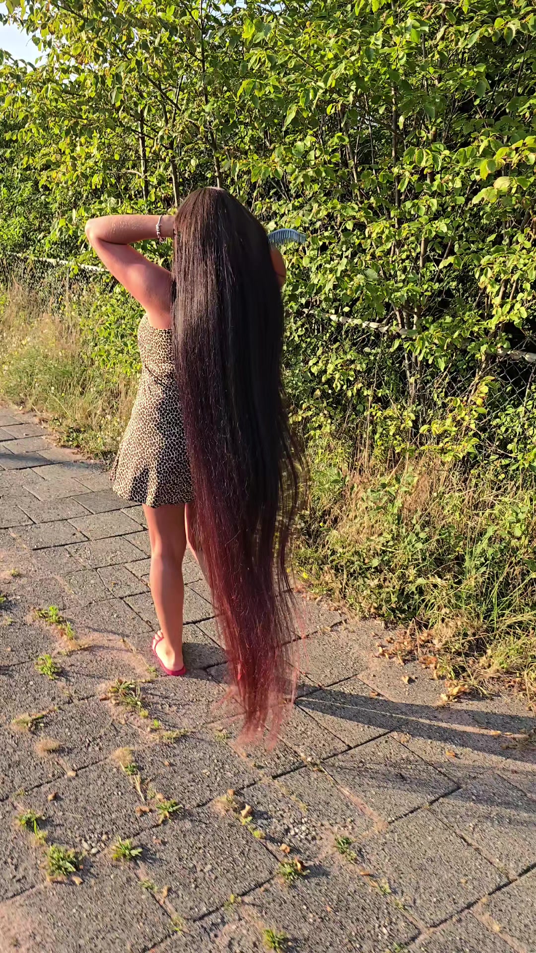 @Zenovii