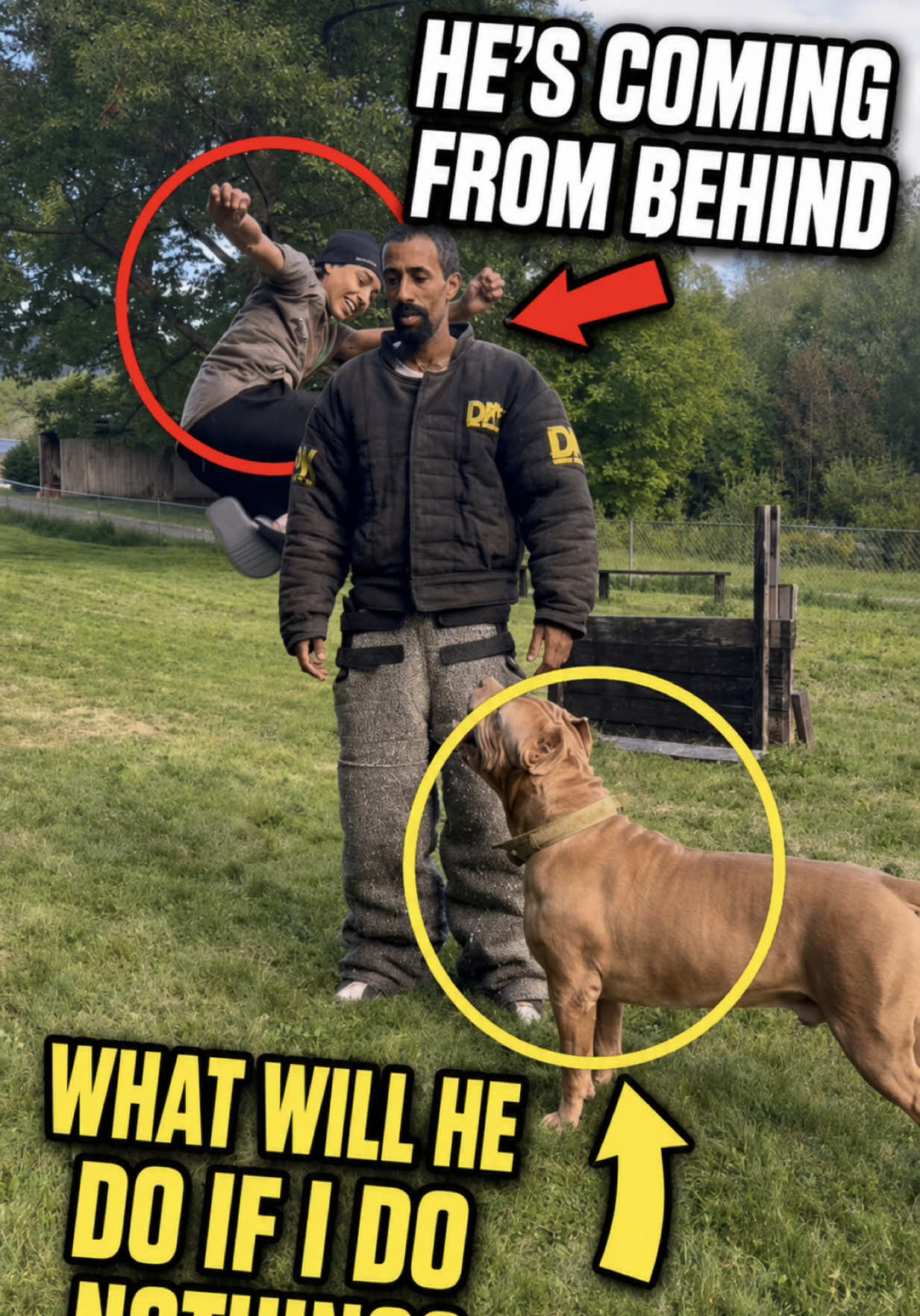 @DarkDynastyK9s