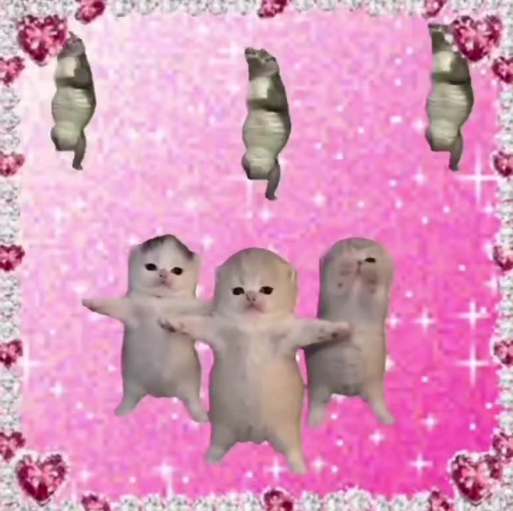 @eda ✩₊˚.⋆☾𓃠☽⋆⁺₊✧