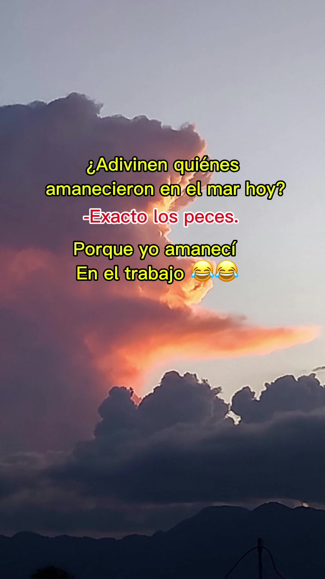 @Vane LC