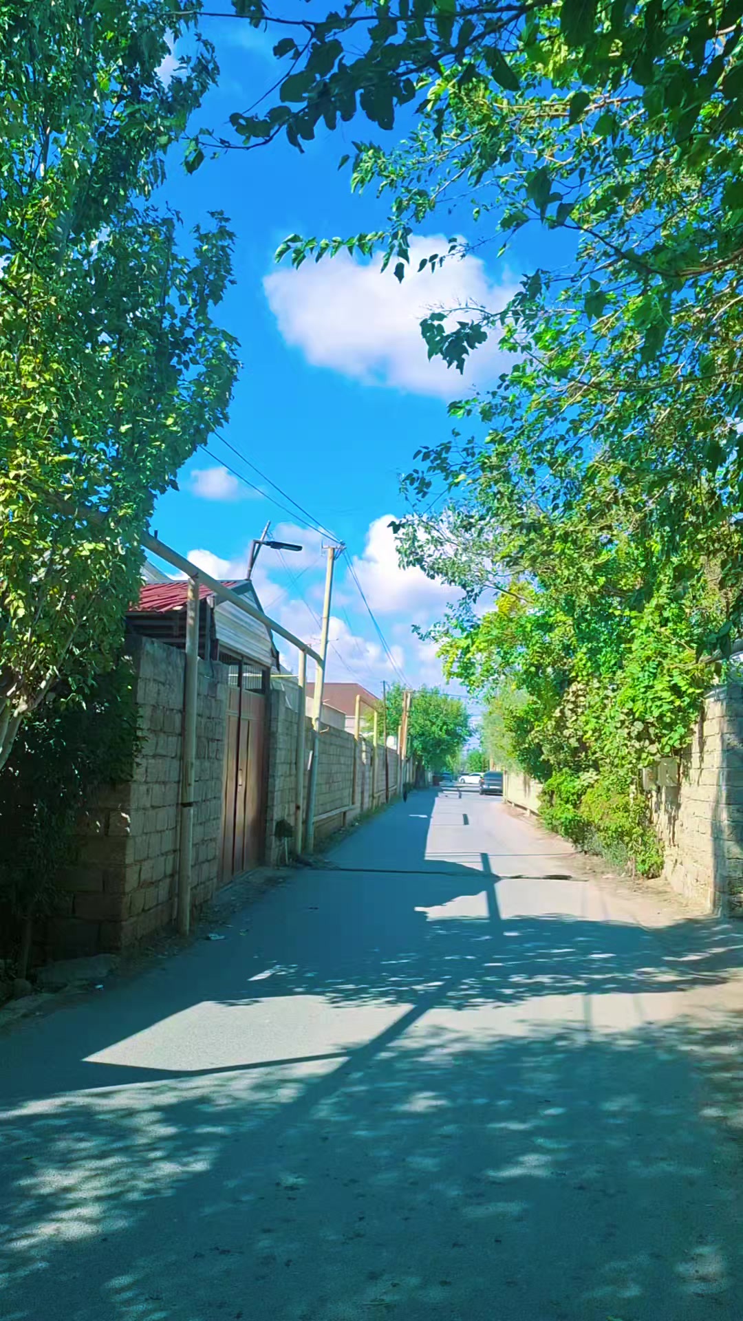 @✭🇦🇿🆀🅰🆁🆃🅰🅻 🇹🇷✭