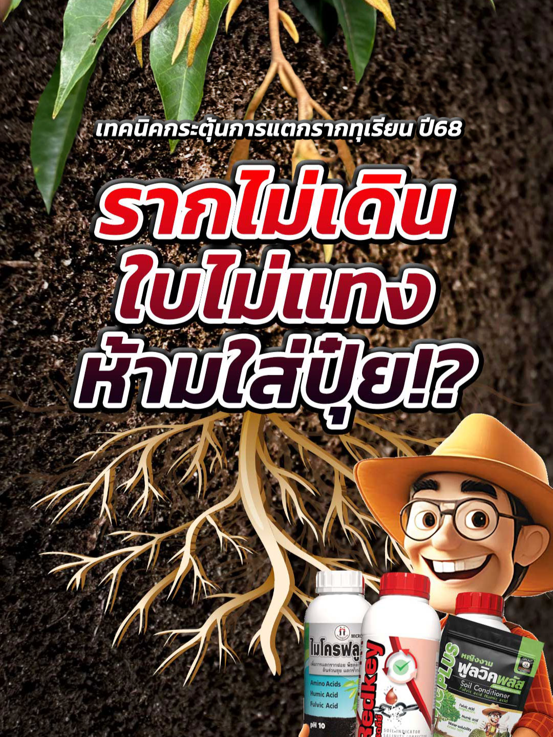 @ตราหญิงงาม