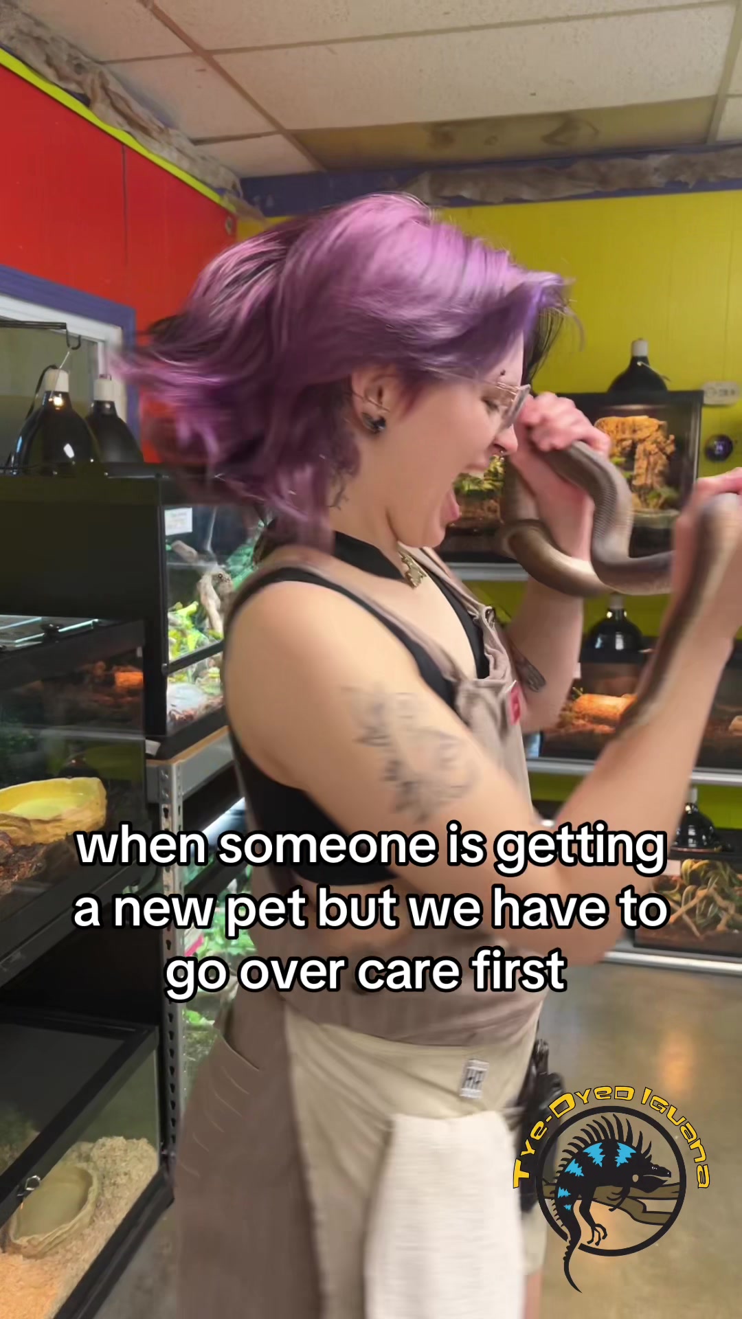 @Tye-Dyed Iguana