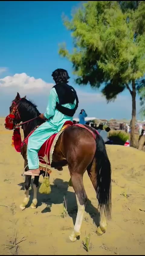 @✌️ 💫🥷اعجازی ملک♡☞ ︻╦デ╤━╼