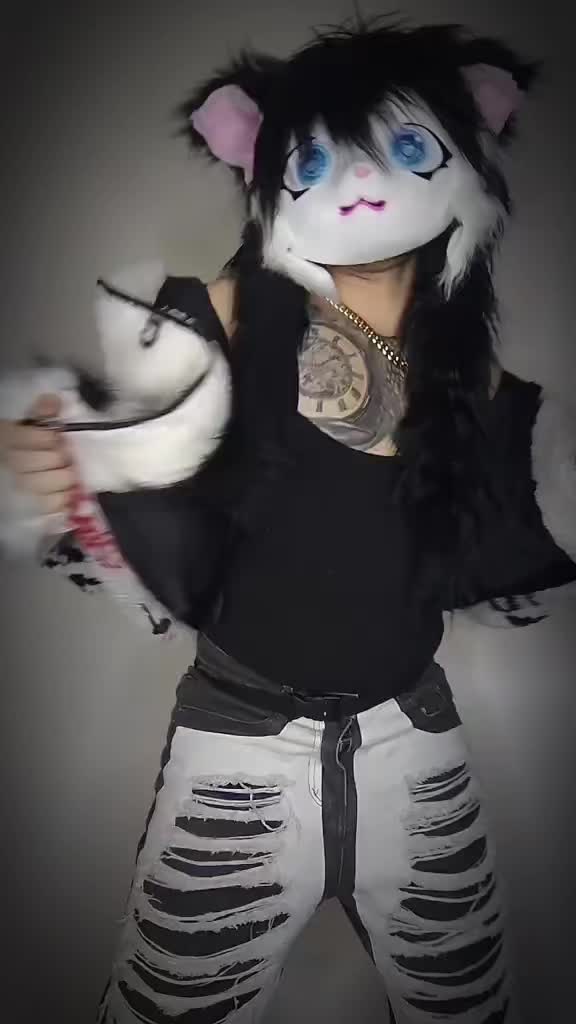 @Queer el gato🏳️🌈