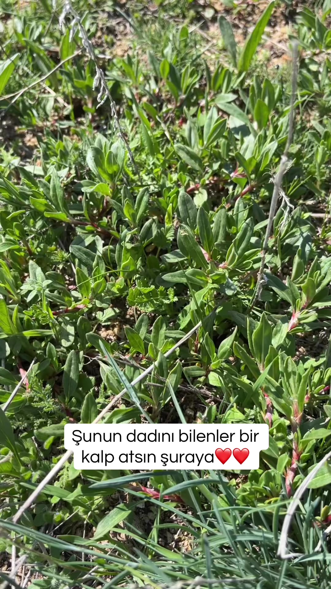 @Yerköy Hacılı Köyü