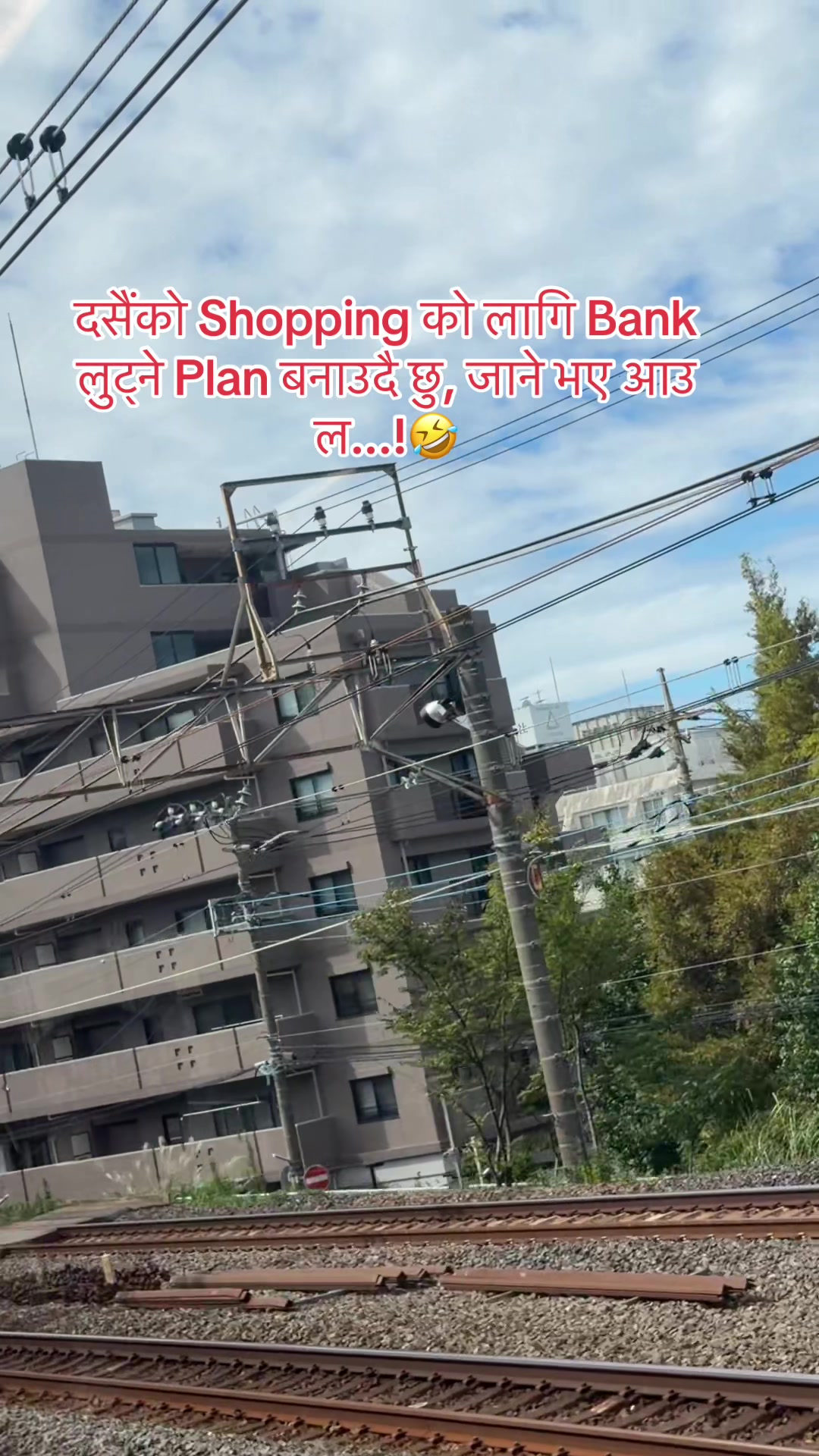 @🕊️