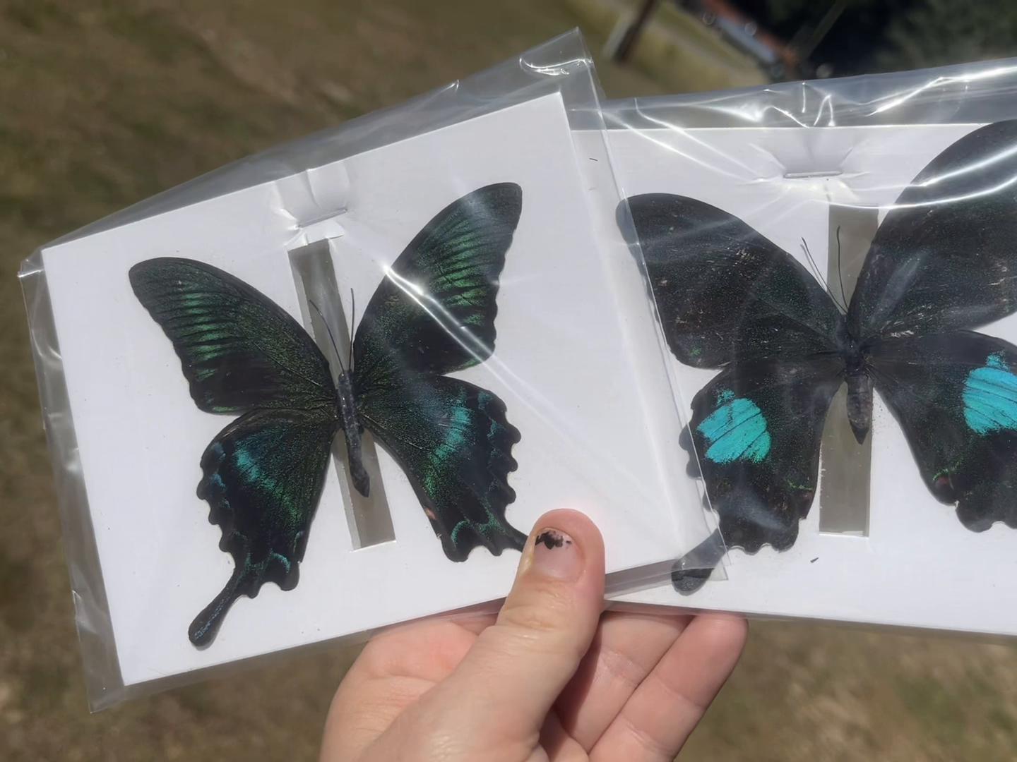 @Half Moon Crystals & Oddities
