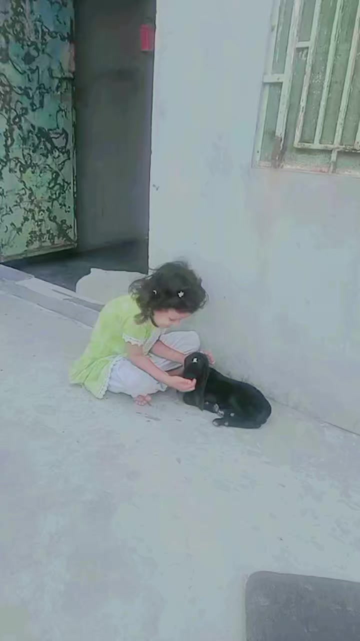 @حسن بھٹی فاضل پور آلہ❤️🩹