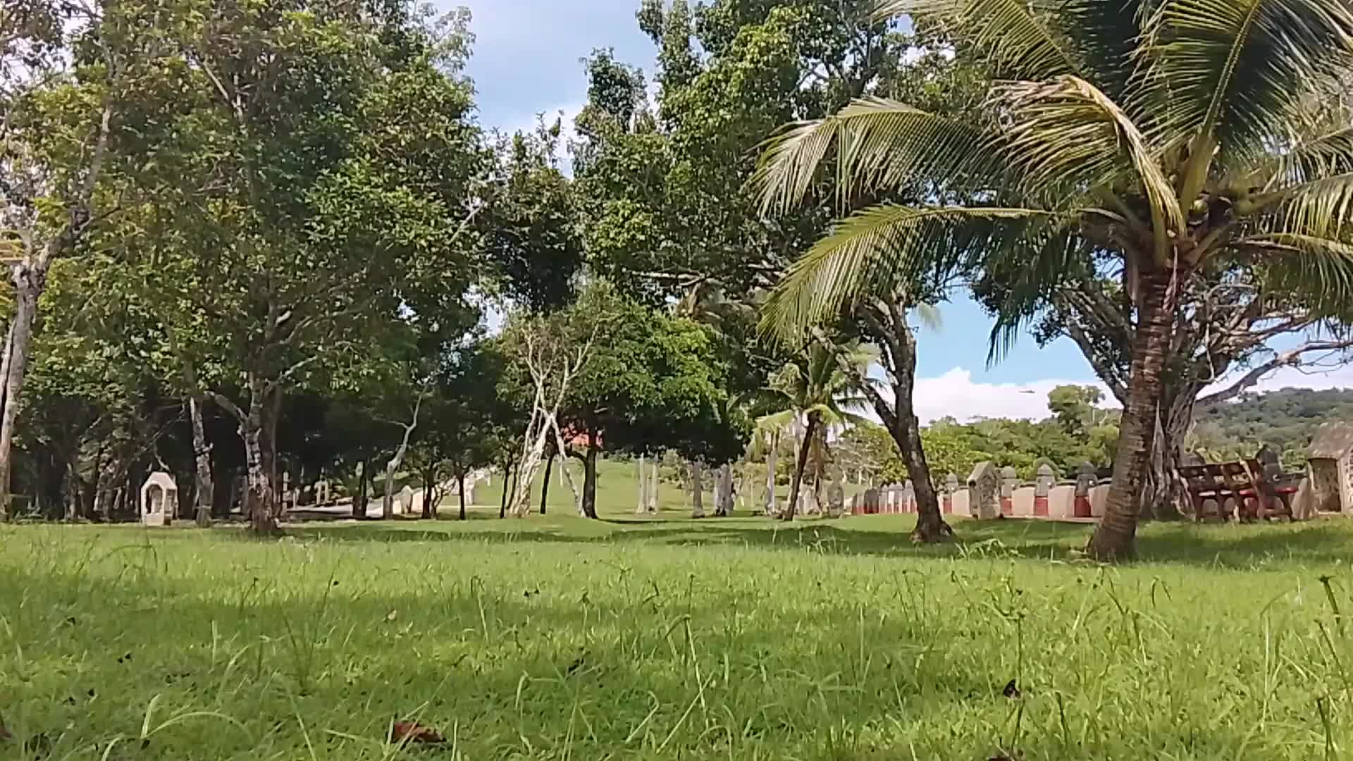 @spidermanlangkawi