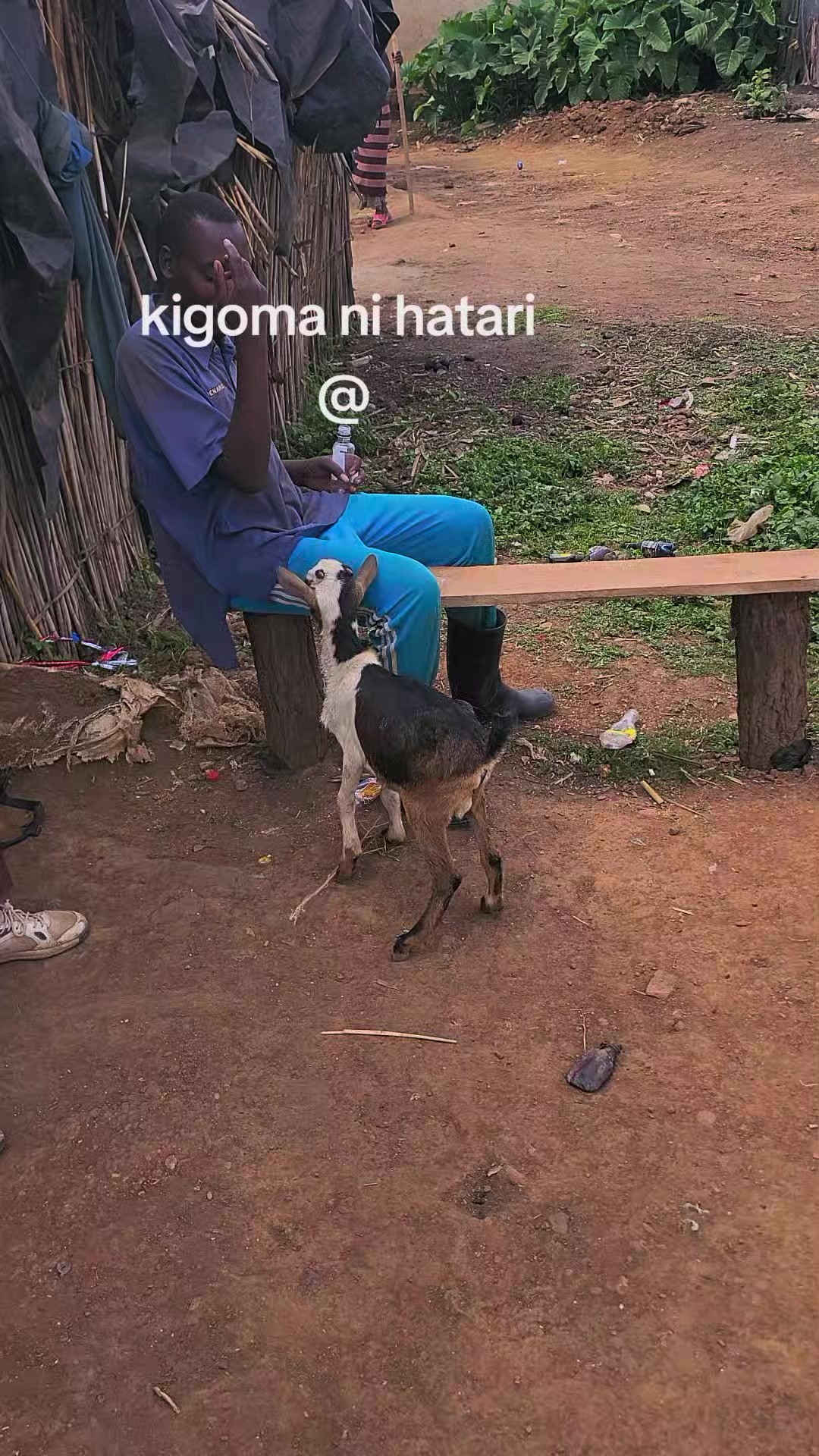 @JimJamKing🇫🇷🇺🇬
