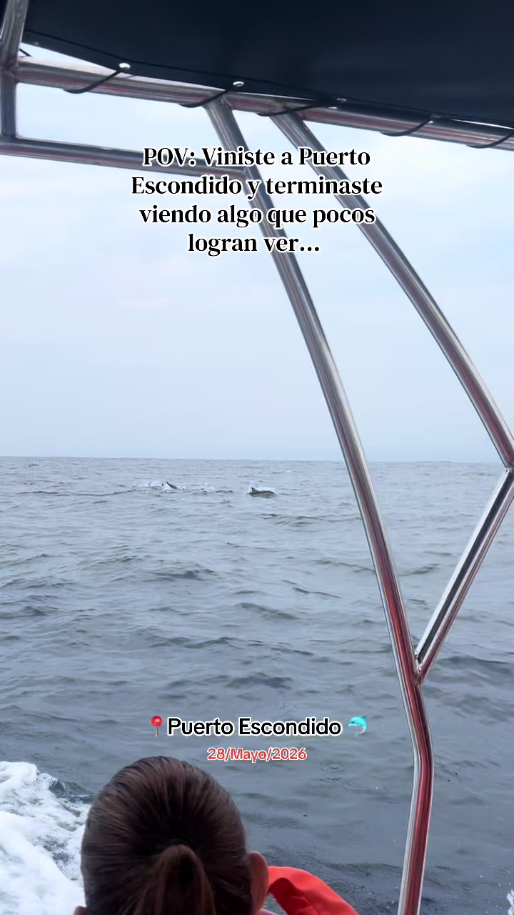 @Angel Mar 🐬🐳🎣