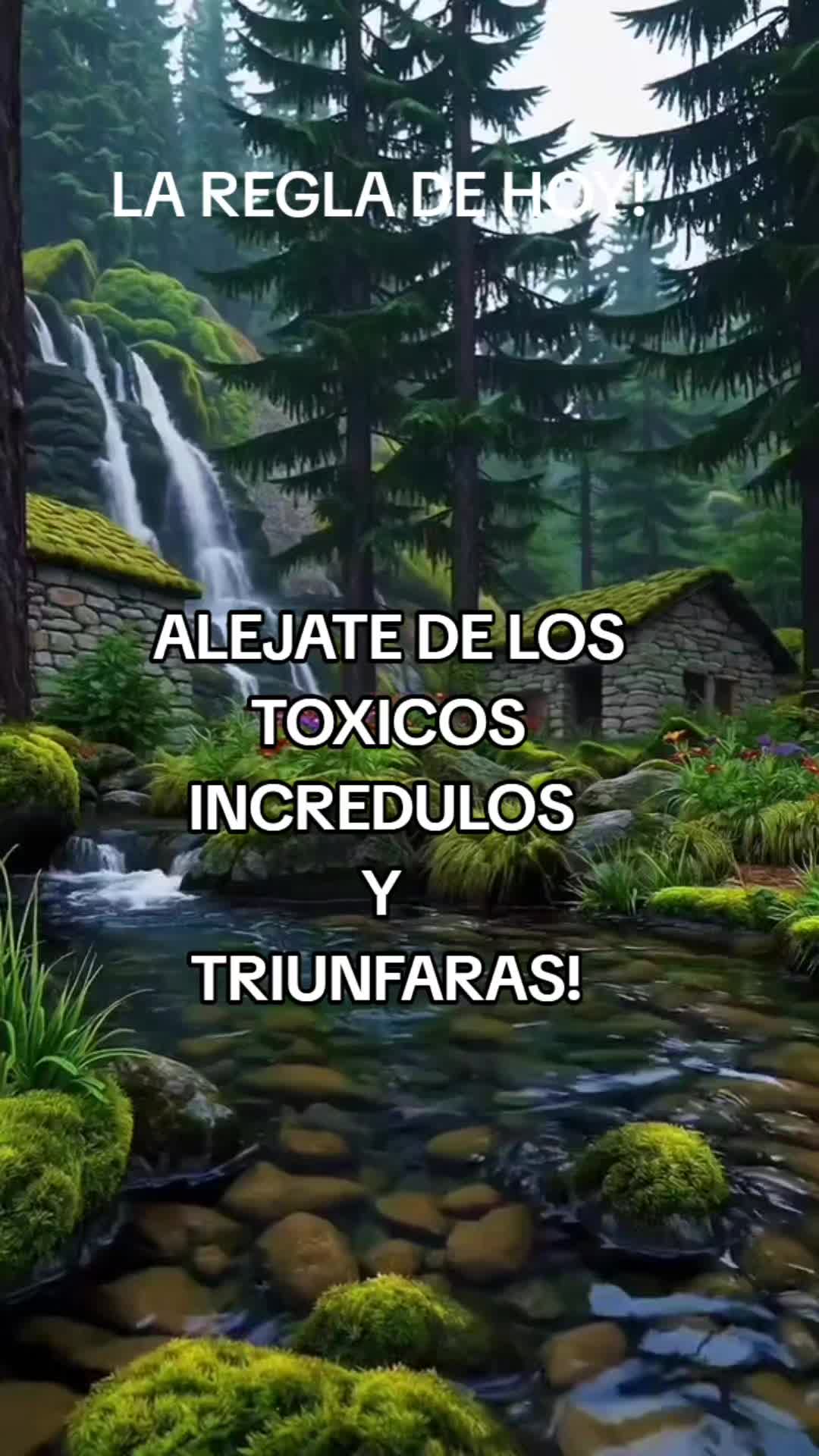 @Alejandro Network🌎