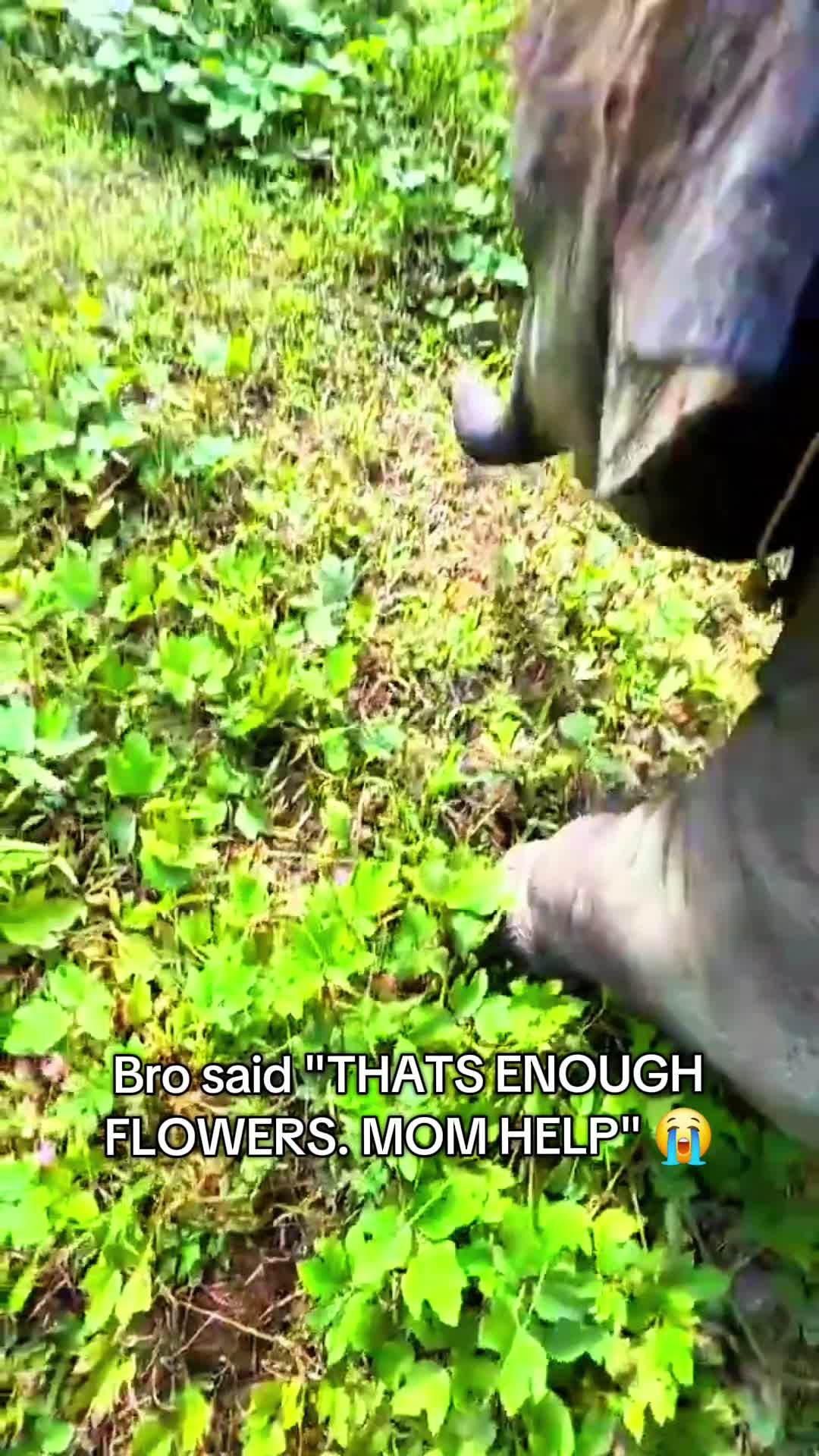 @Pawsitivitycore