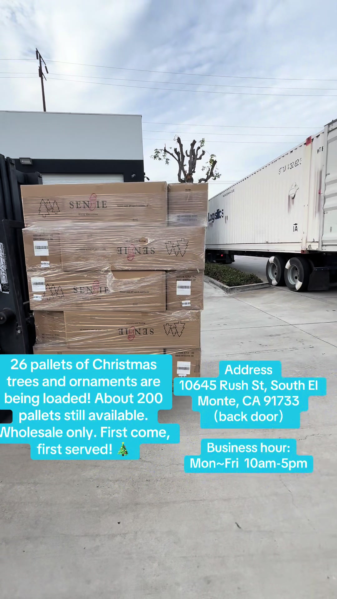 @Meilinda | LA Wholesale