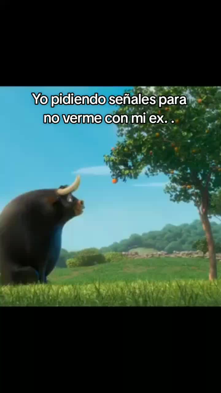 @Miguel Landivar