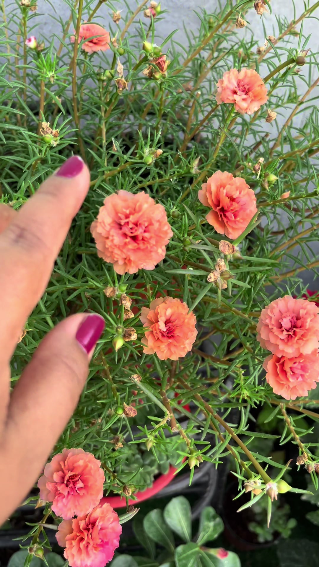 @poonam_shah 🧿🍀