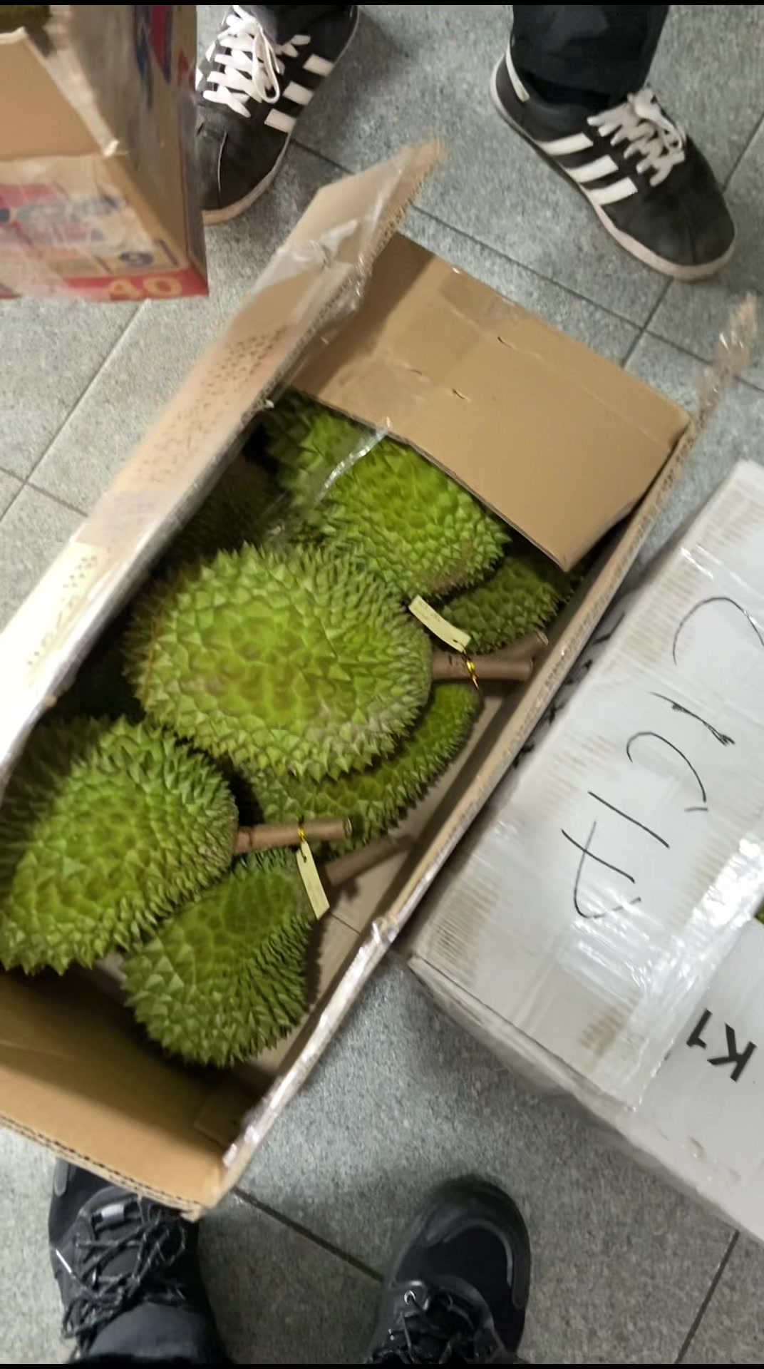 @Cicip Durian
