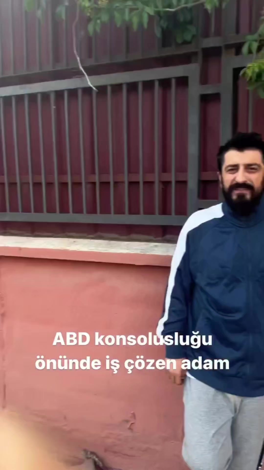 @Twitch Molasi