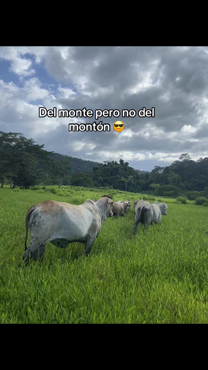 @❣️Reitos💋🧸