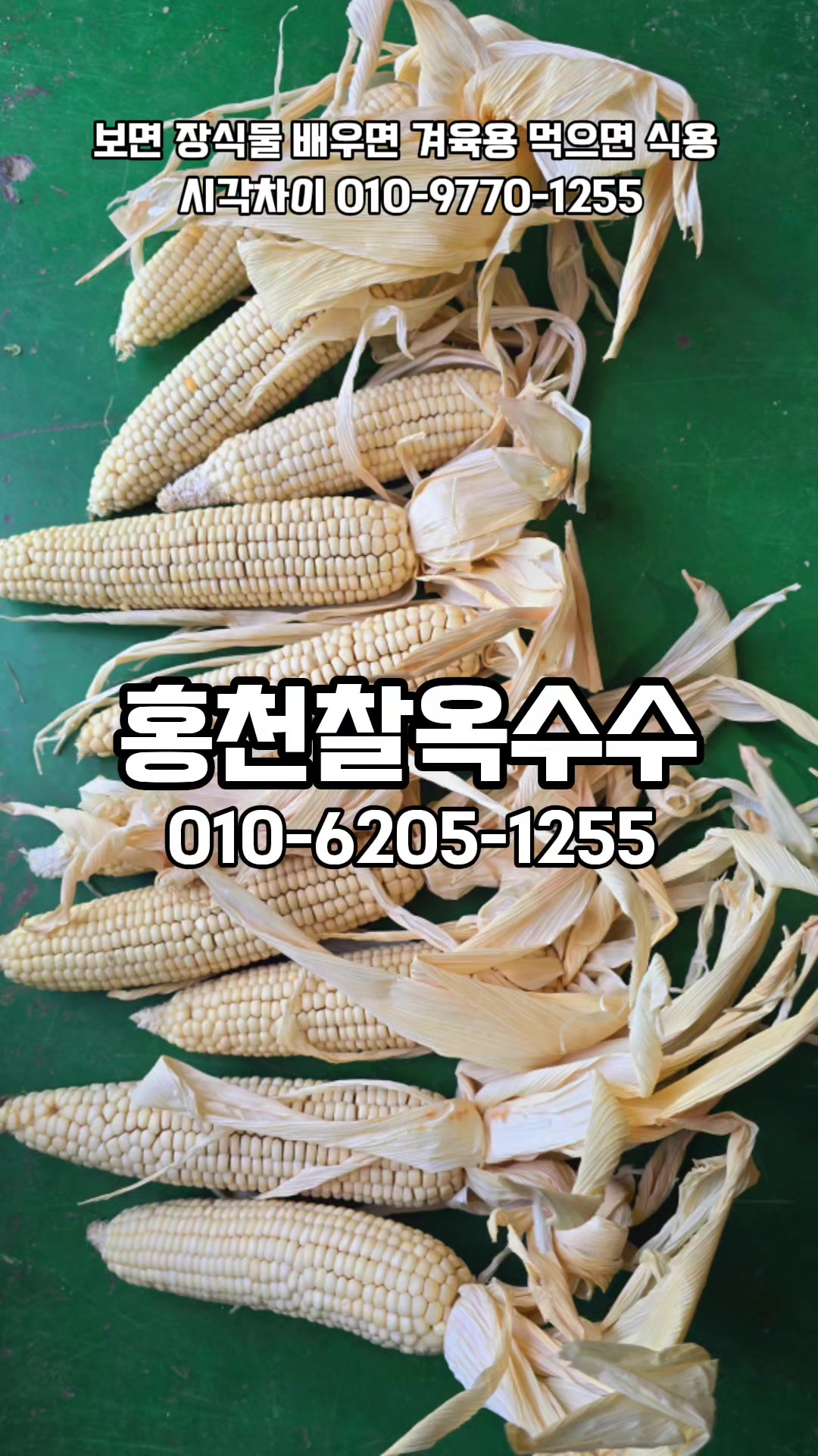@🔥고물급남자