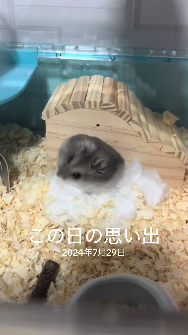 @ใใช๐ถ๐ป