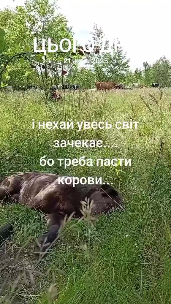 @YV