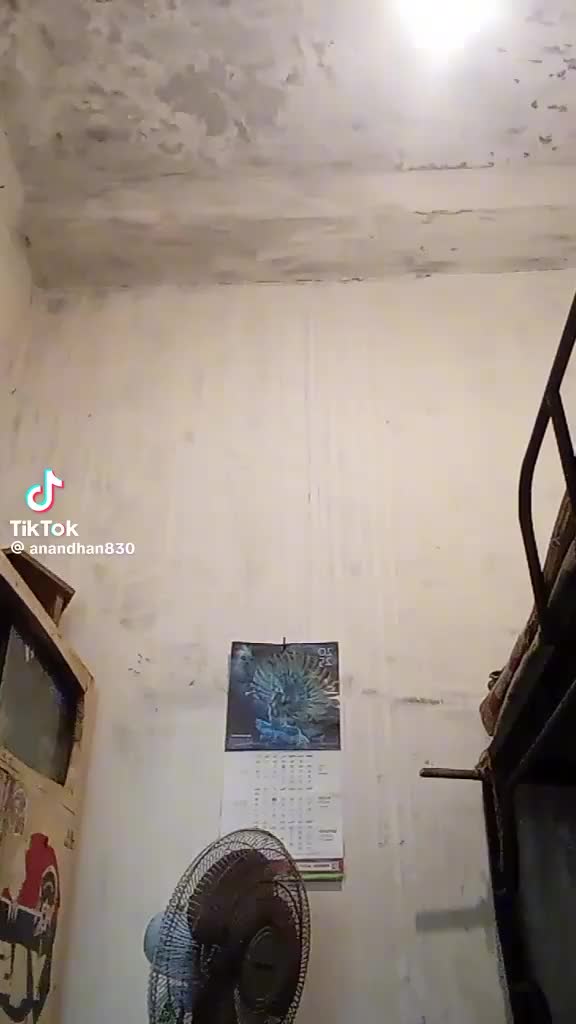 @jaya