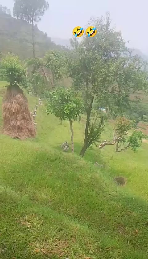@kamalamahar25