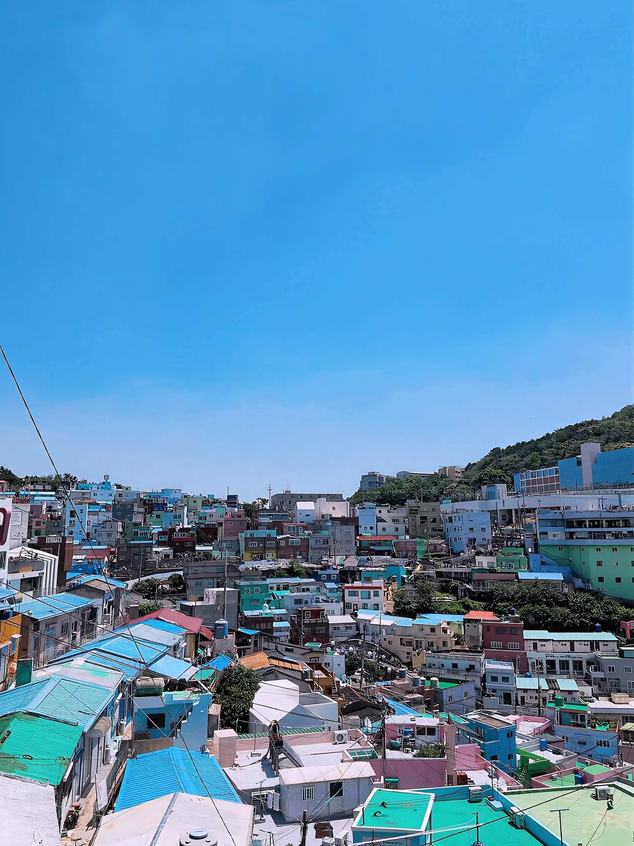 @Seoul City Tour Bus
