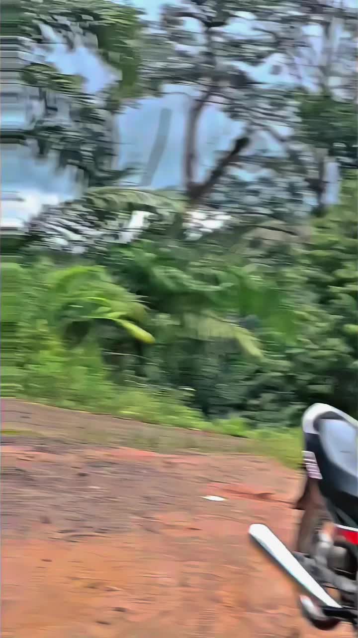 @_Irfan 🚩