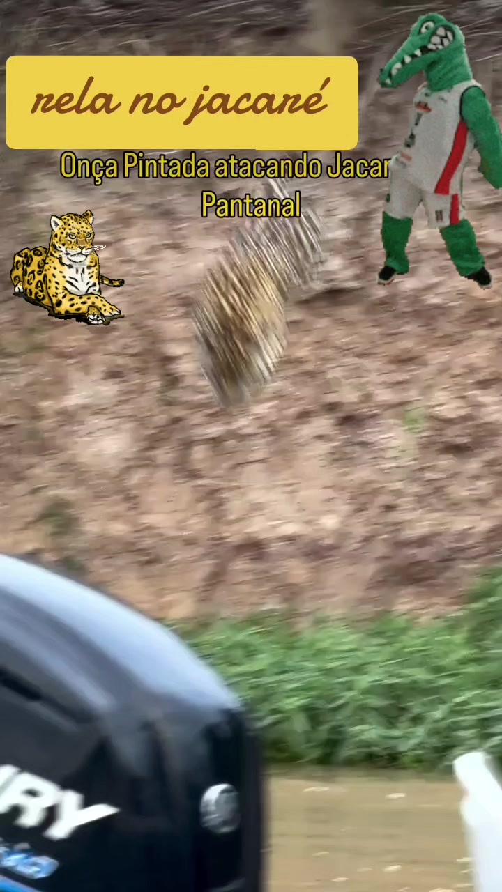 @Tigrão 68