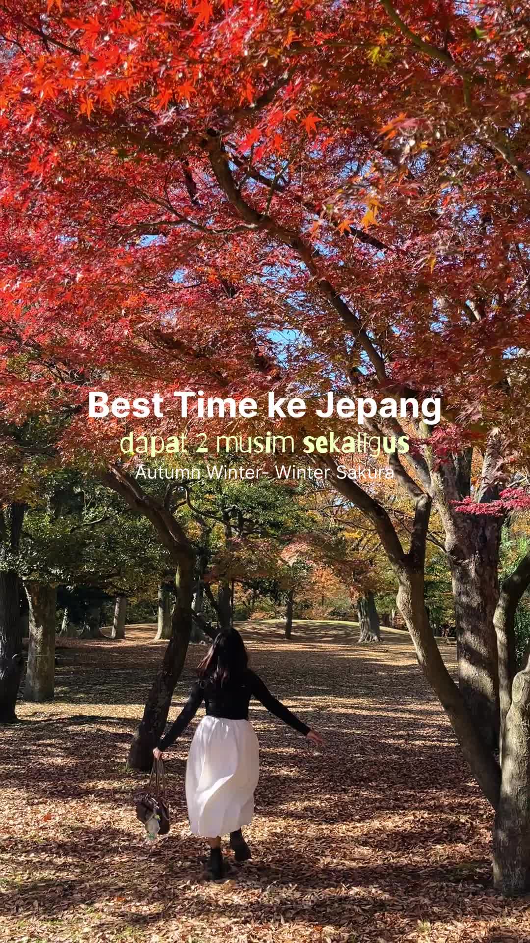 @Sowan Suwun