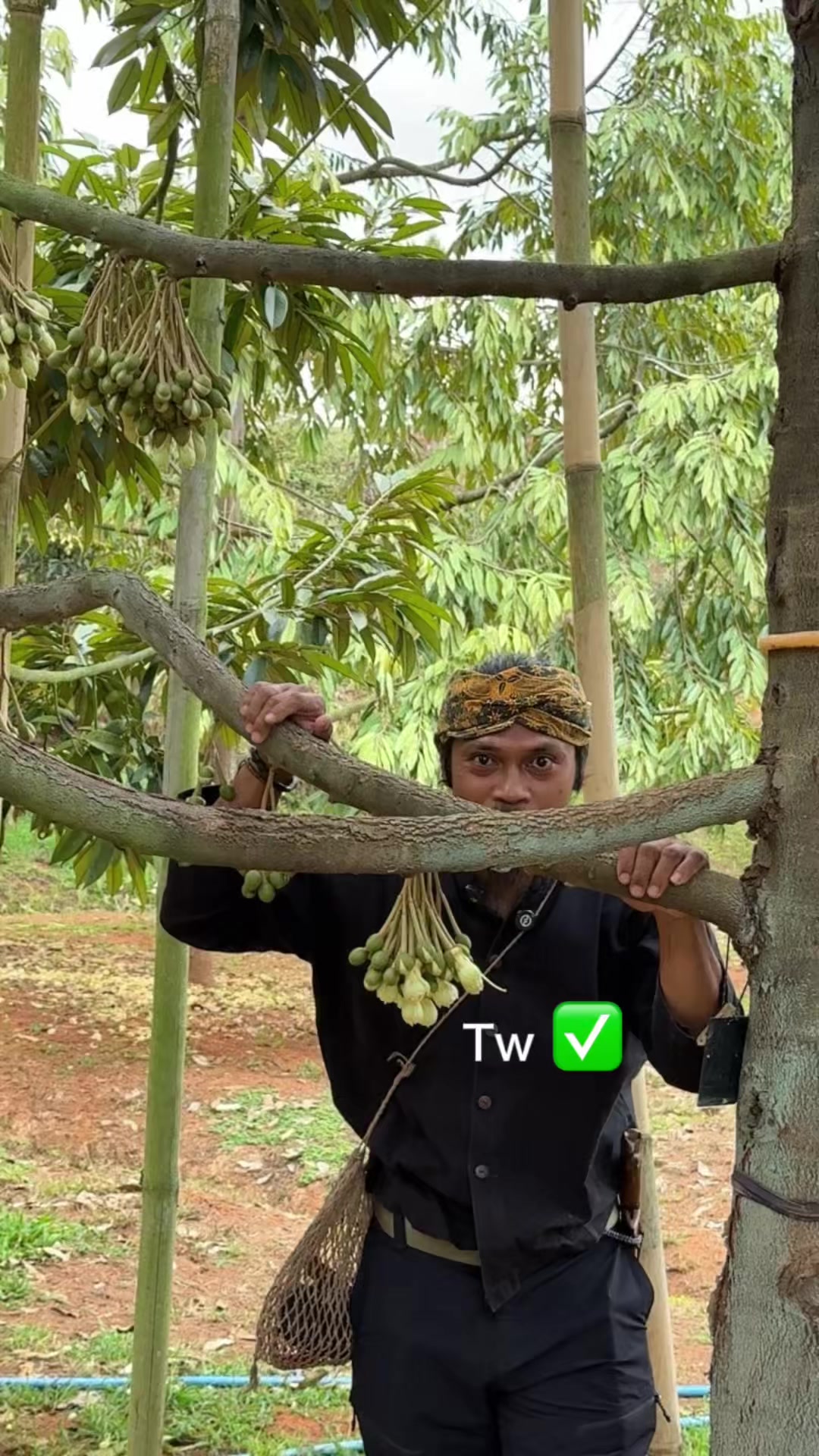 @AA KADU