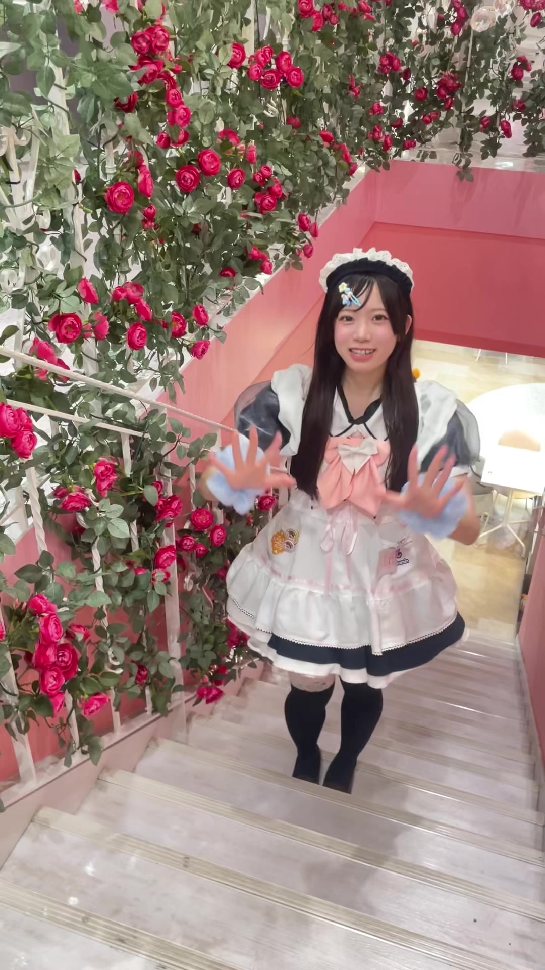 @めいどりーみん大須招き猫前店