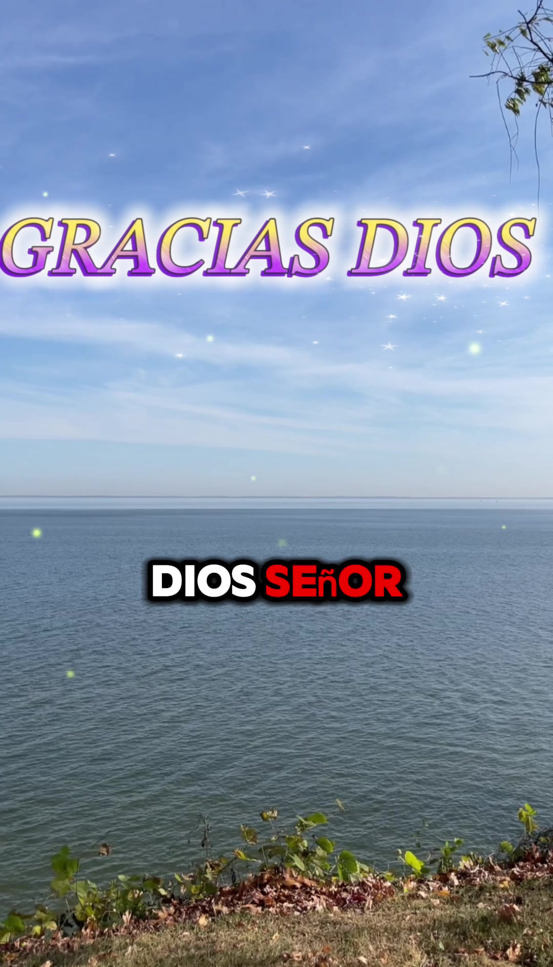 @Maynor Vicente