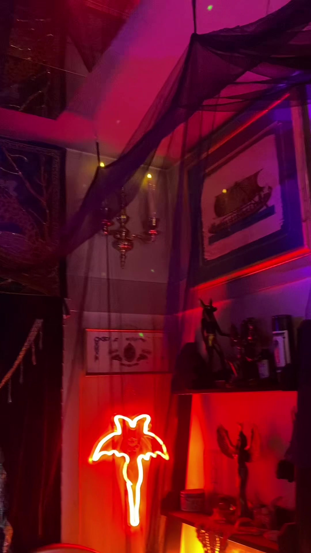 @asleeplessmind🕸