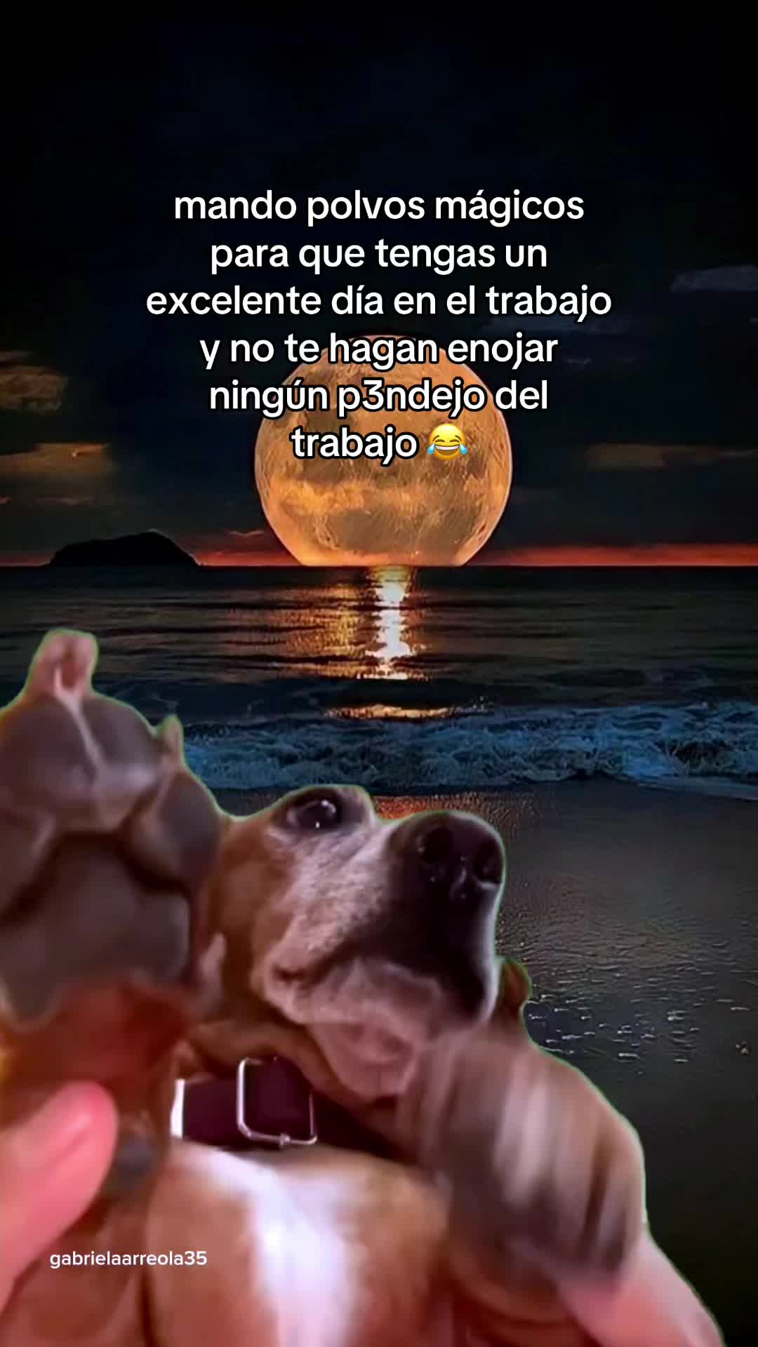 @gabrielaarreola35 🐚 💕